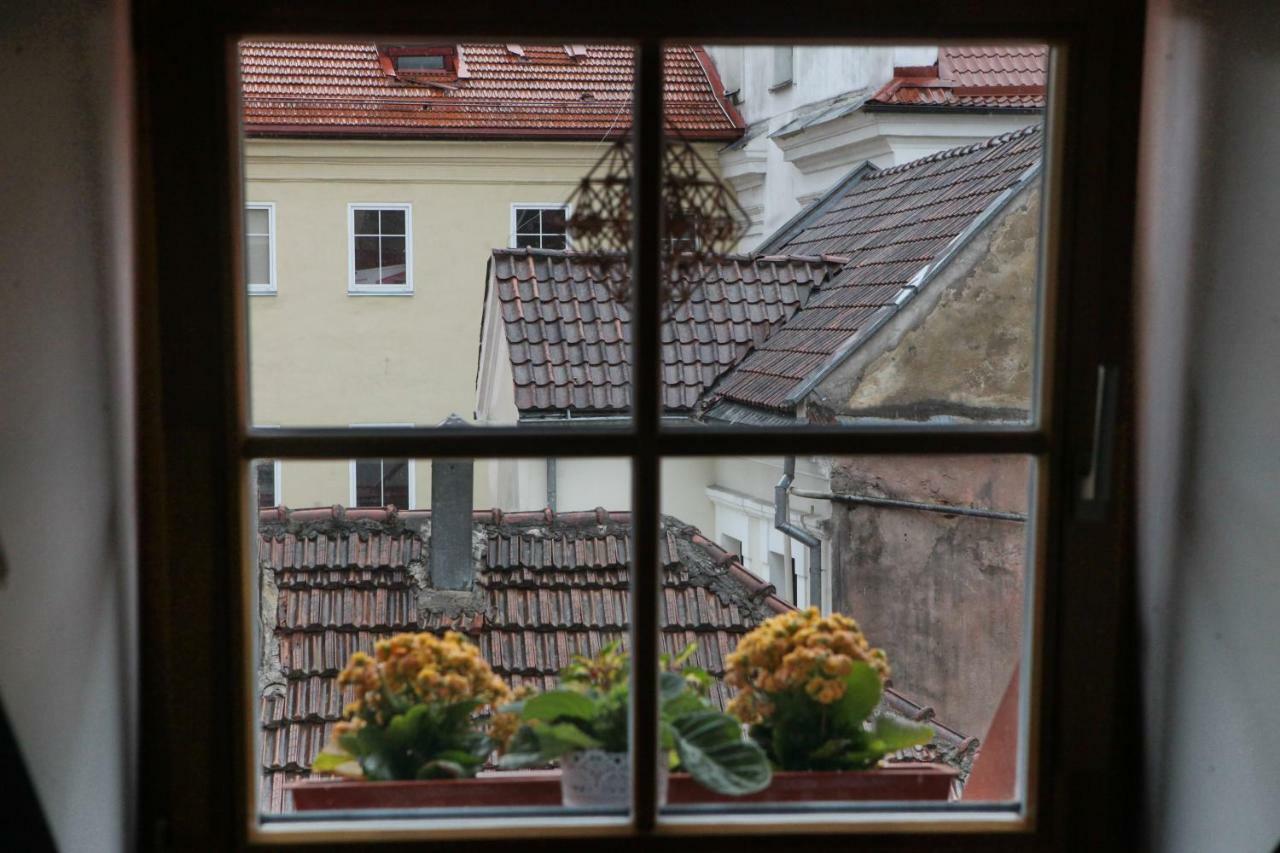 Vokieciu G. Apartman VNO Kültér fotó